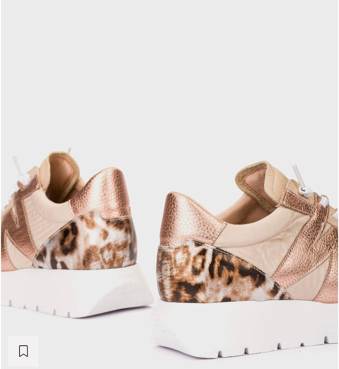 Wonders Odisei 00 Trainer With Animal Details A-24100